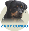 Zady Congo WA Von Rottssel